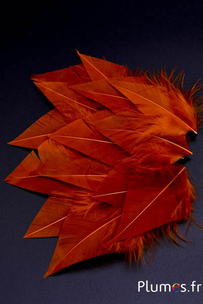Pétales en plumes avec duvet - 5-7 x 2-3 cm - or aztèque